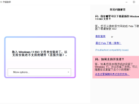 Flyby11 - 绕过安装Win11硬件限制