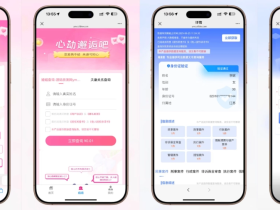 婚姻案件案底查询+系统网站源码 – 无授权版