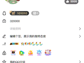 最新版QQ个人资料模拟器源码