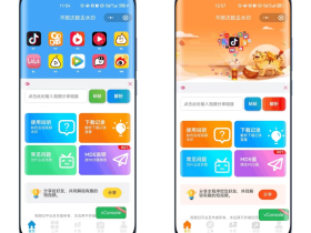 最新去水印小程序全套系统源码 – 多套模版_免授权