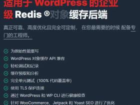 Wordpress插件-Redis Object Cache Pro v1.24.5