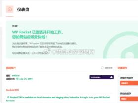 WP Rocket3.8.8和3.9.1免授权汉化版