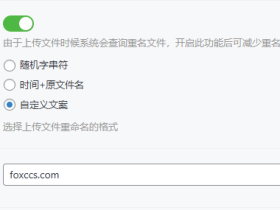 子比主题美化之附件自定义添加前缀名