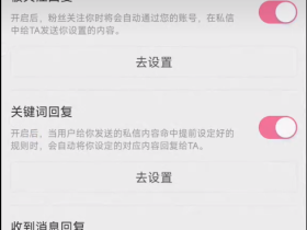 B站0粉强开自动回复代码+视频教程