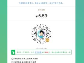 个人收款码/赞赏码实现免签约微信支付接口源码(可用于付费进群)美化版