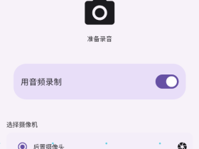 Alibi v0.5.2-手机当行车记录仪(Android)
